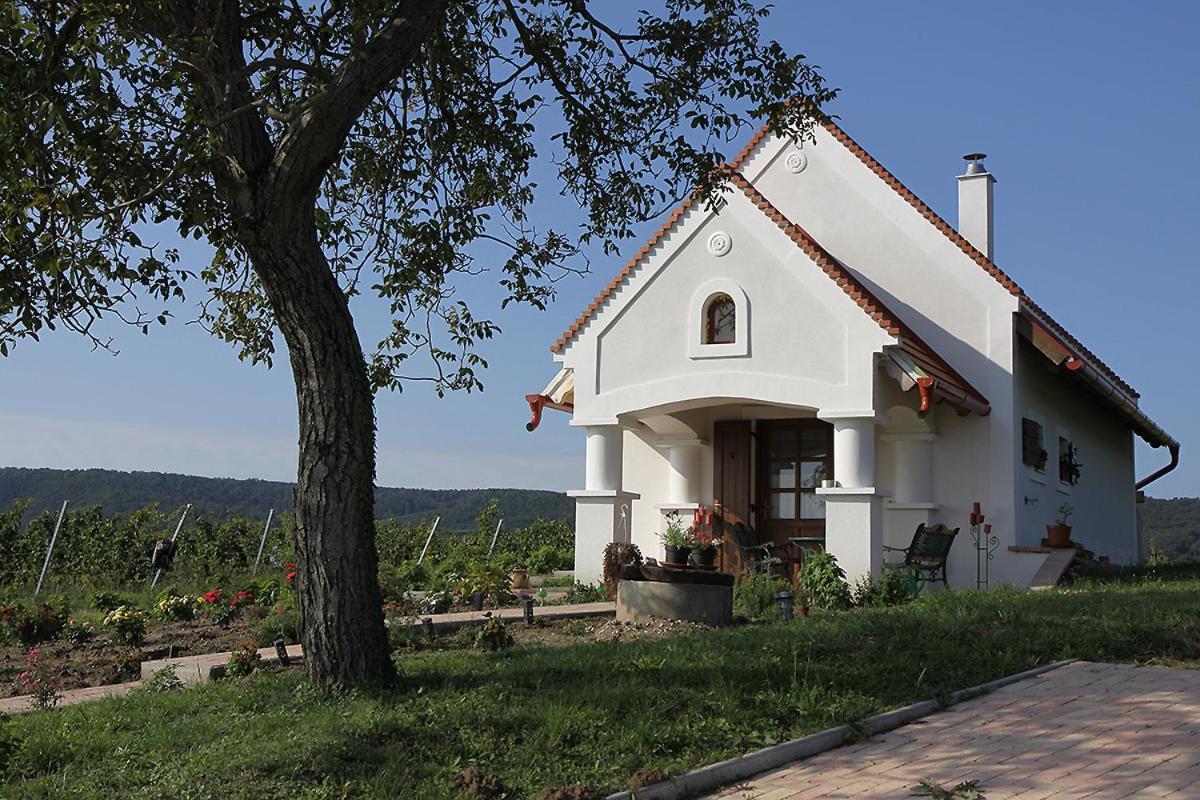 Вілла Casa Beata Lesencetomaj Екстер'єр фото